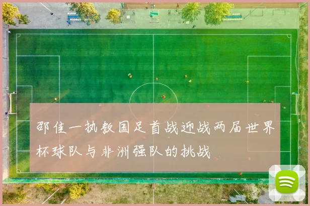 邵佳一执教国足首战迎战两届世界杯球队与非洲强队的挑战